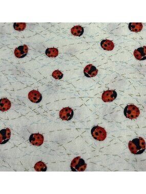 Solana Ladybug Print Cotton Fabric 28"x42" Robin Pickens Moda Fabrics